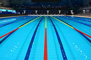 开云LOL-体坛记忆｜福冈世锦赛蝶泳决赛，张雨霏最后5米不换气狂冲，逆袭夺金